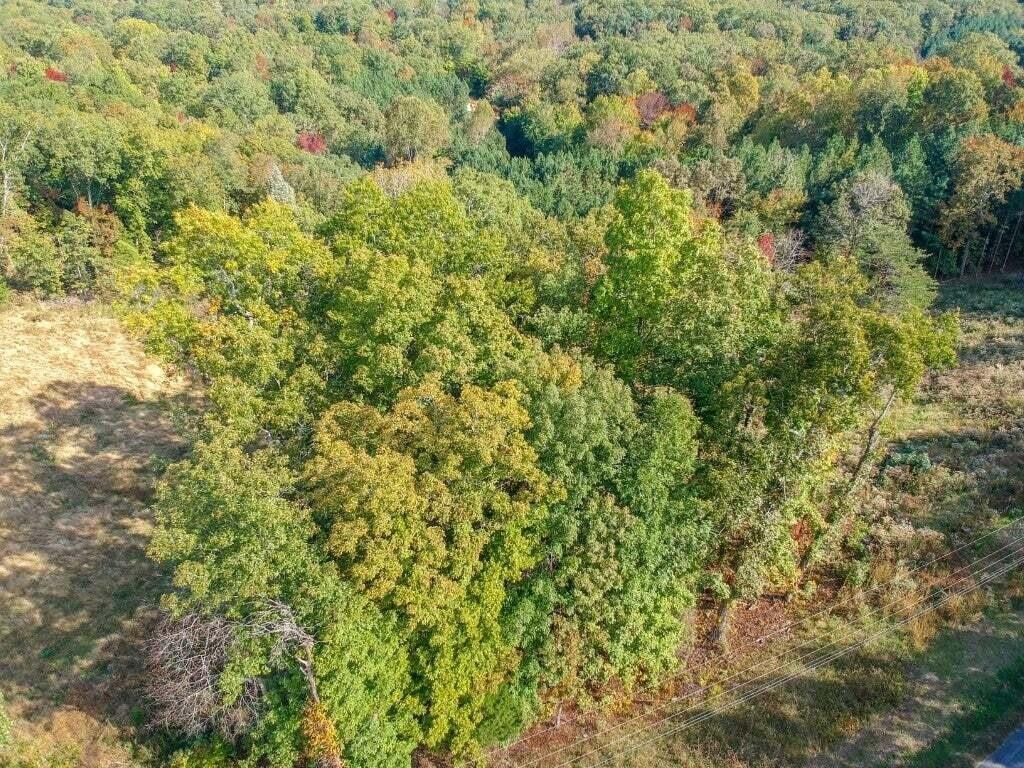 272 Spruce Drive Property Photo 2