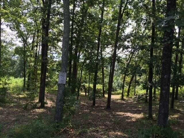 272 Spruce Drive Property Photo 4