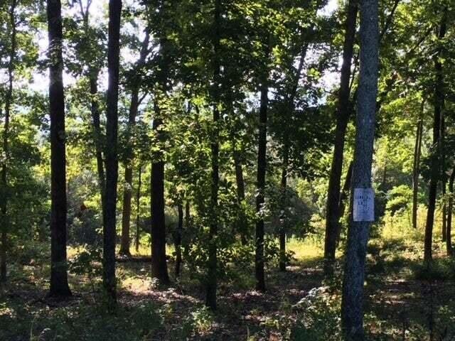 272 Spruce Drive Property Photo 5