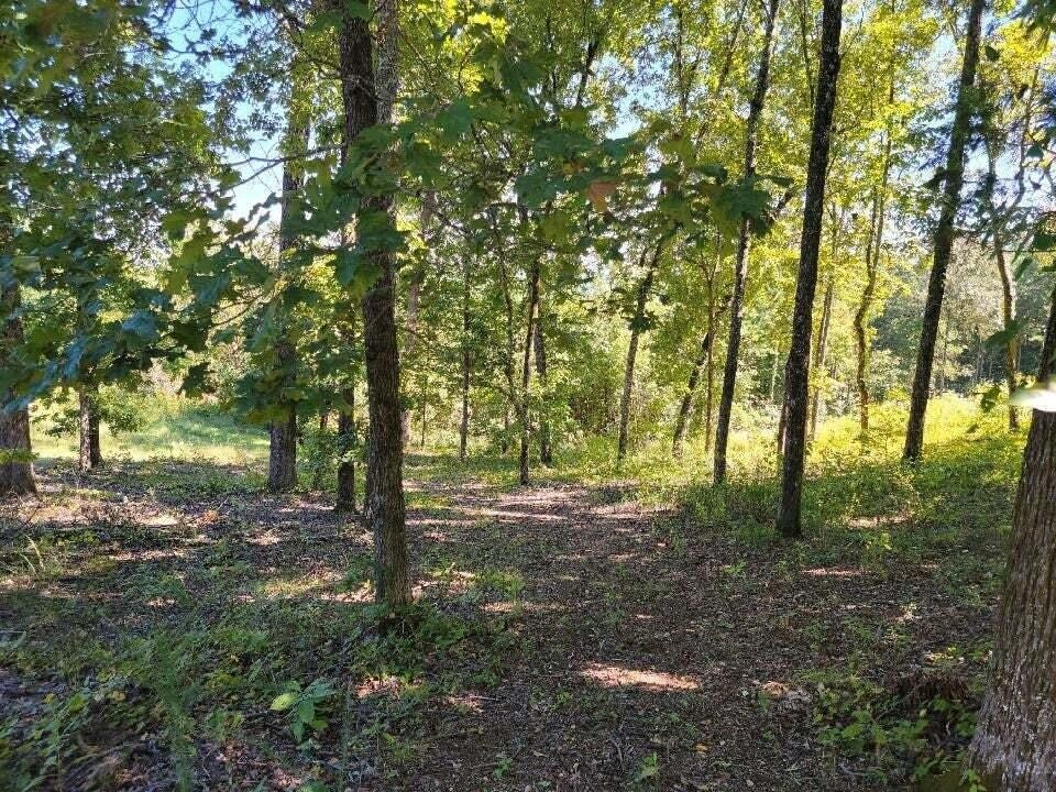 272 Spruce Drive Property Photo 6