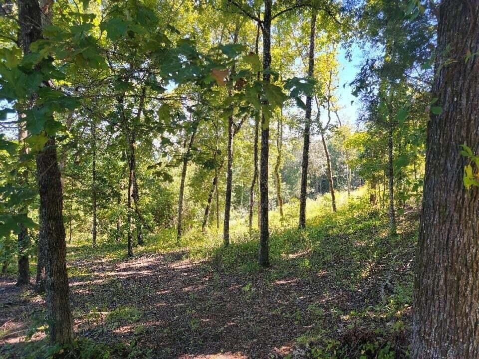 272 Spruce Drive Property Photo 7