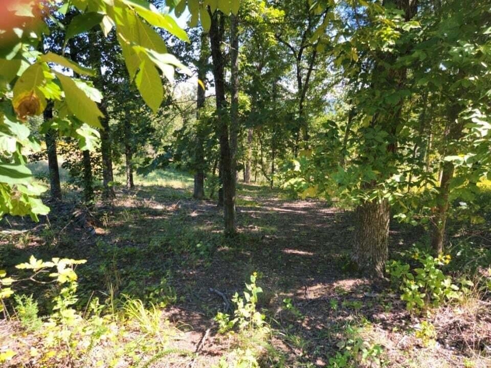 272 Spruce Drive Property Photo 8