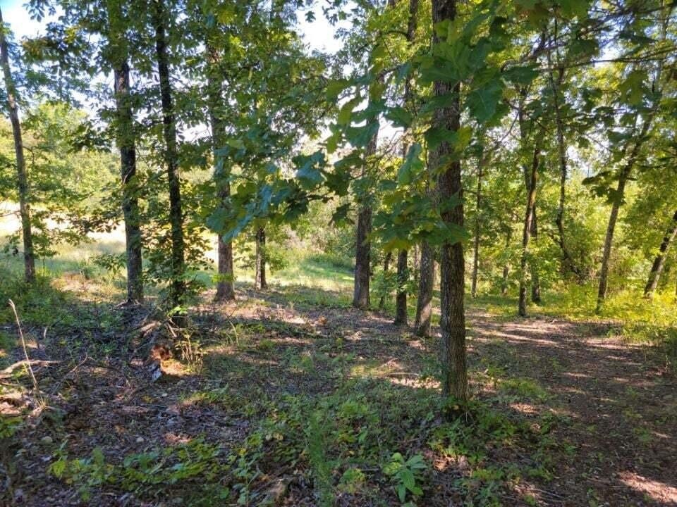 272 Spruce Drive Property Photo 10