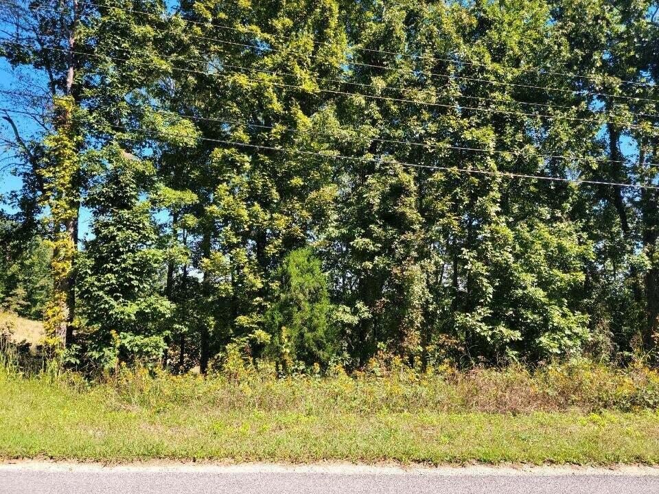 272 Spruce Drive Property Photo 11