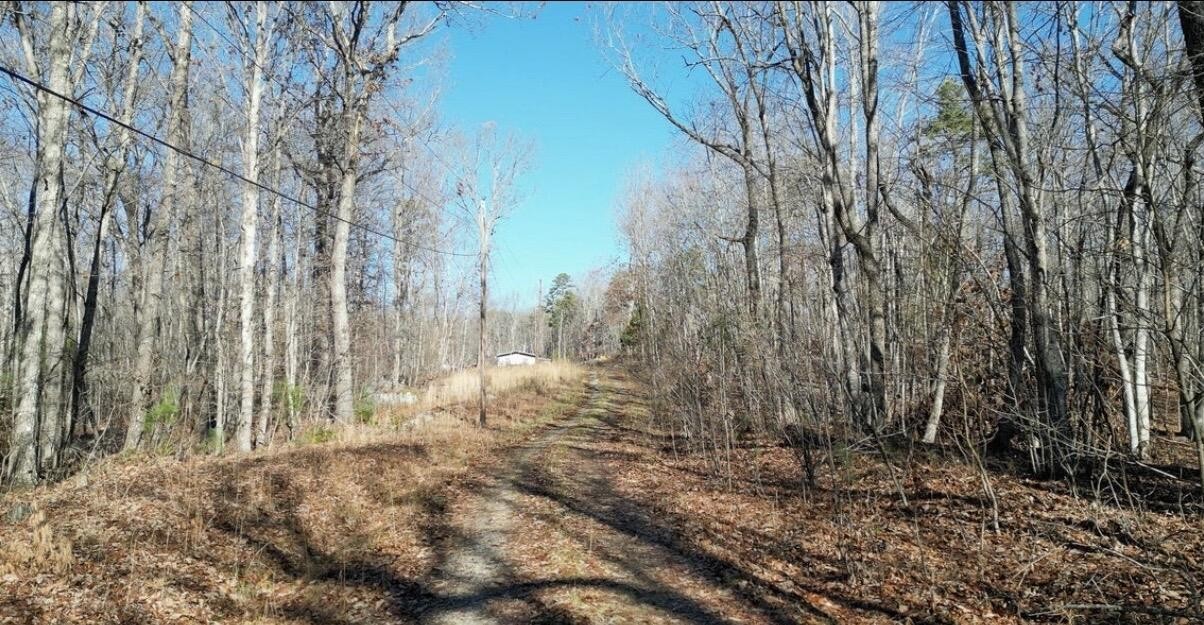 69 W Log Road, W Property Photo 1