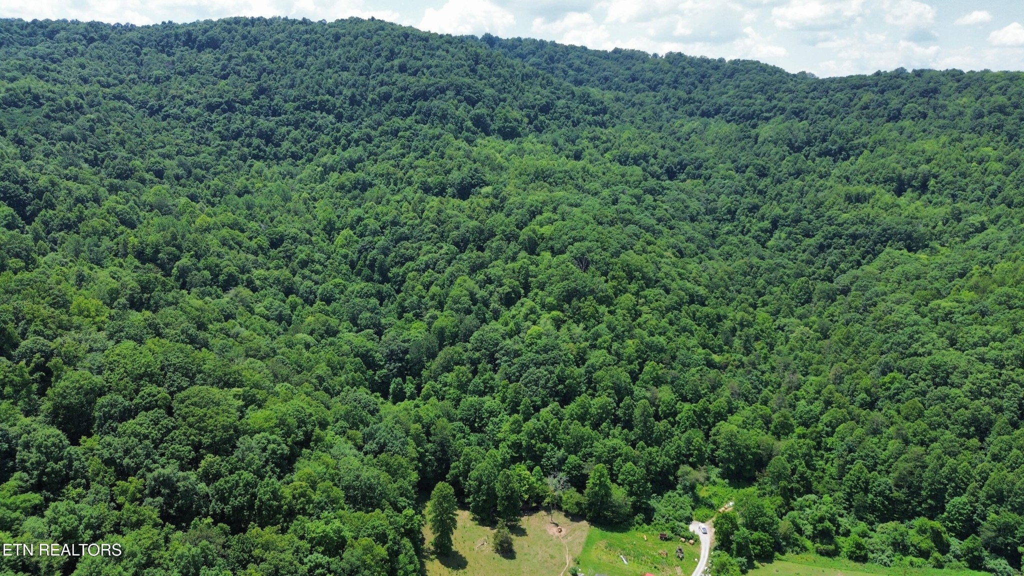 0 Lick Creek Lane Property Photo 1