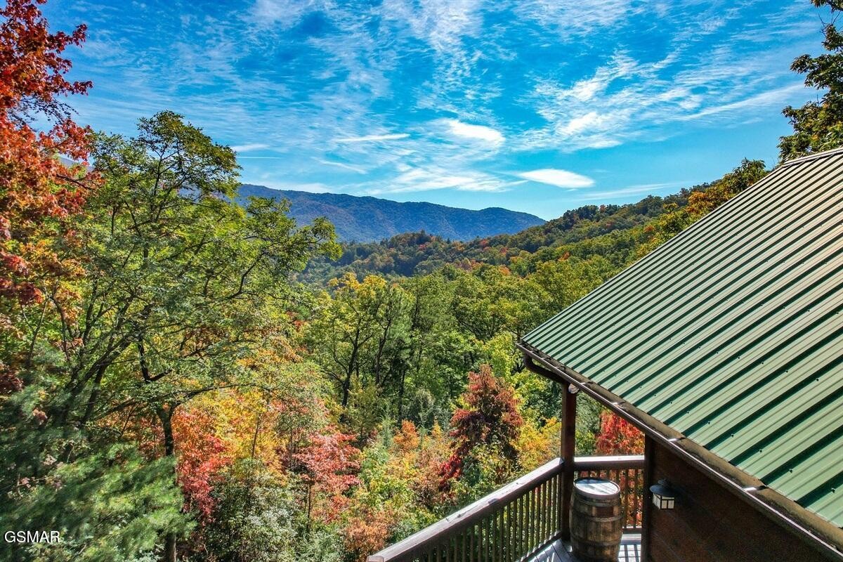 4235 Round Top Way Property Photo 19