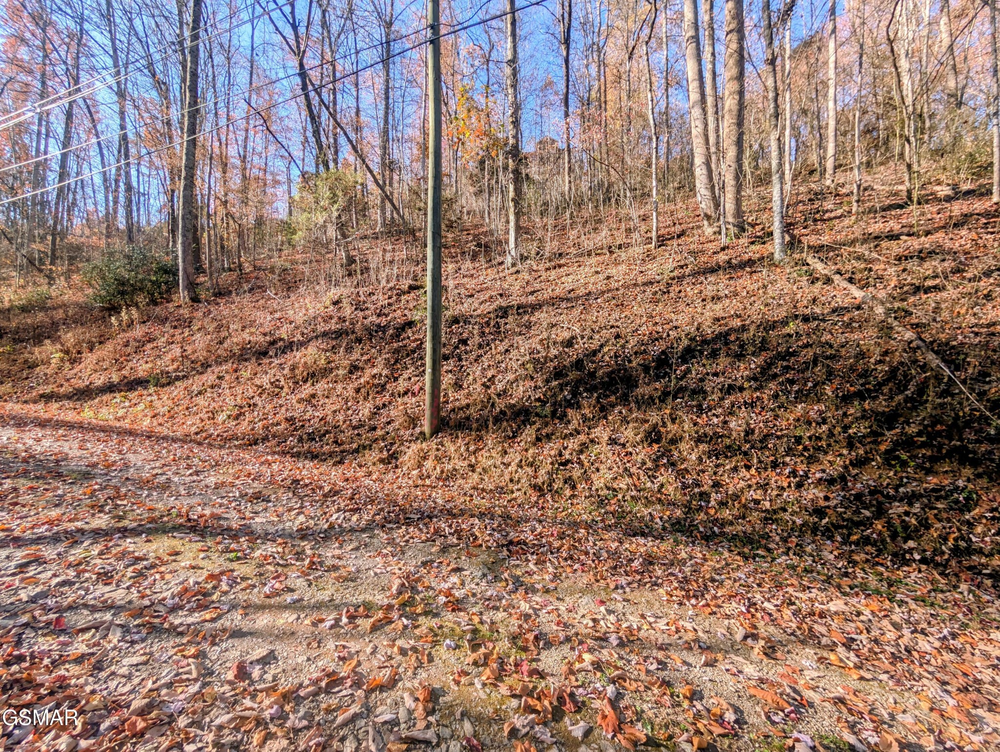 1272 Raymond Hollow Road Property Photo 1