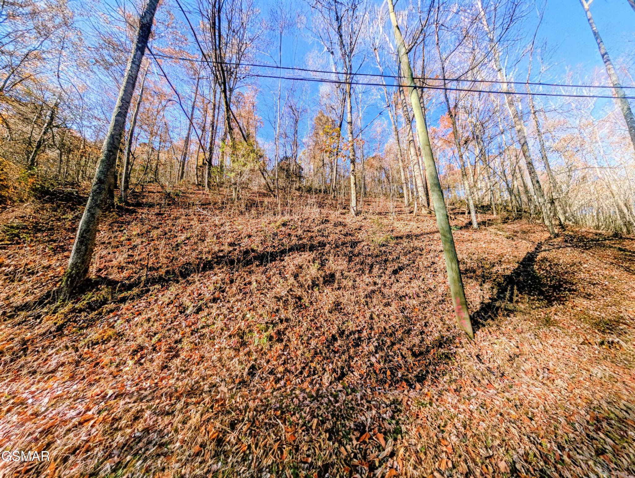 1272 Raymond Hollow Road Property Photo 2