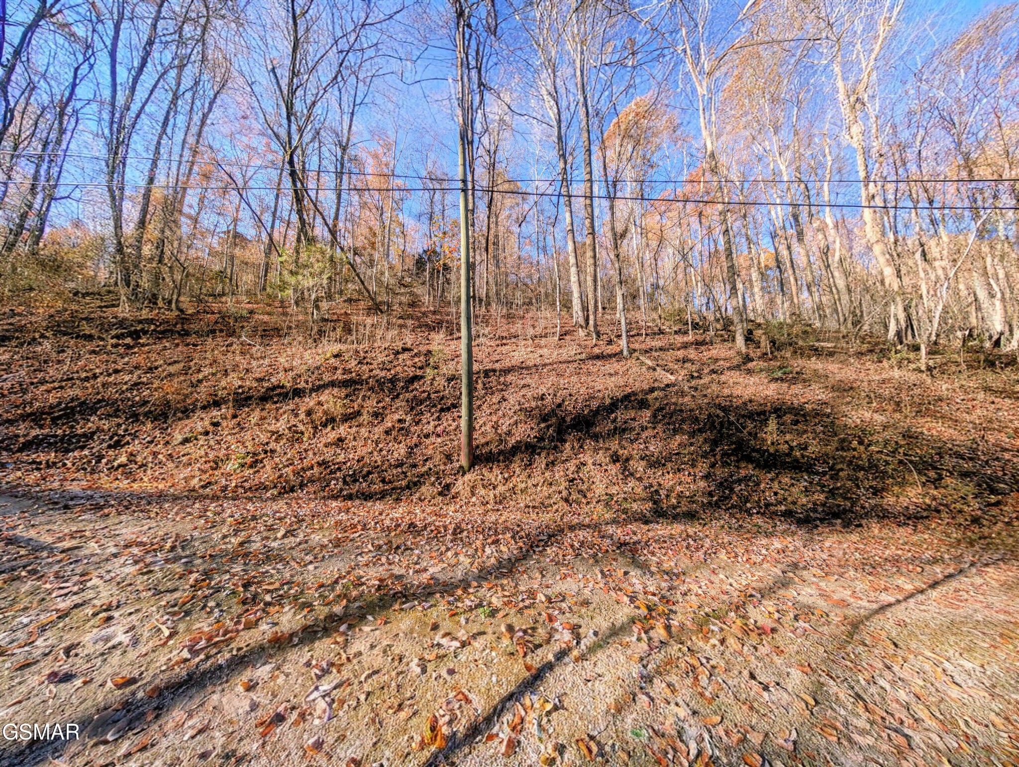 1272 Raymond Hollow Road Property Photo 3
