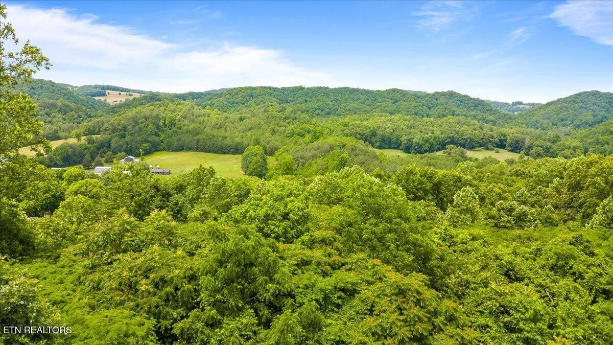 104 Jackson Rd Property Photo 8