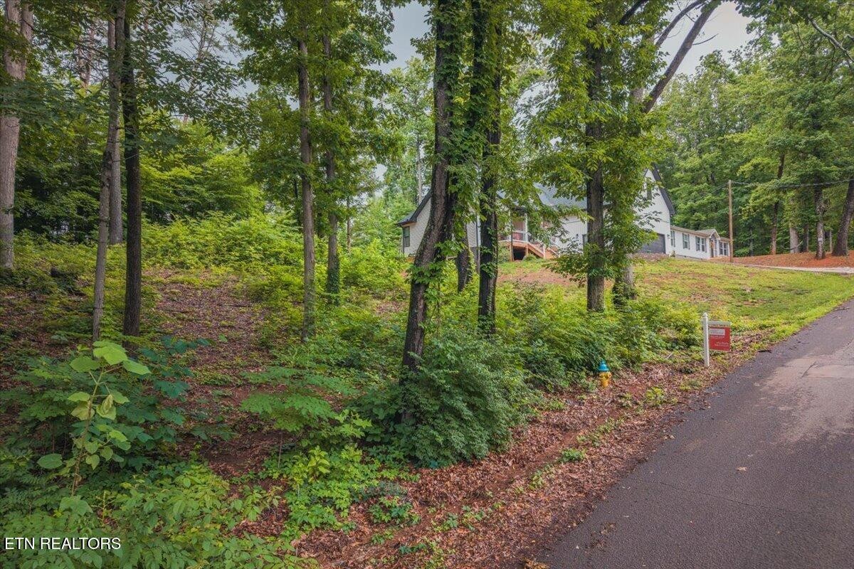 1215 Navy Drive Property Photo 14