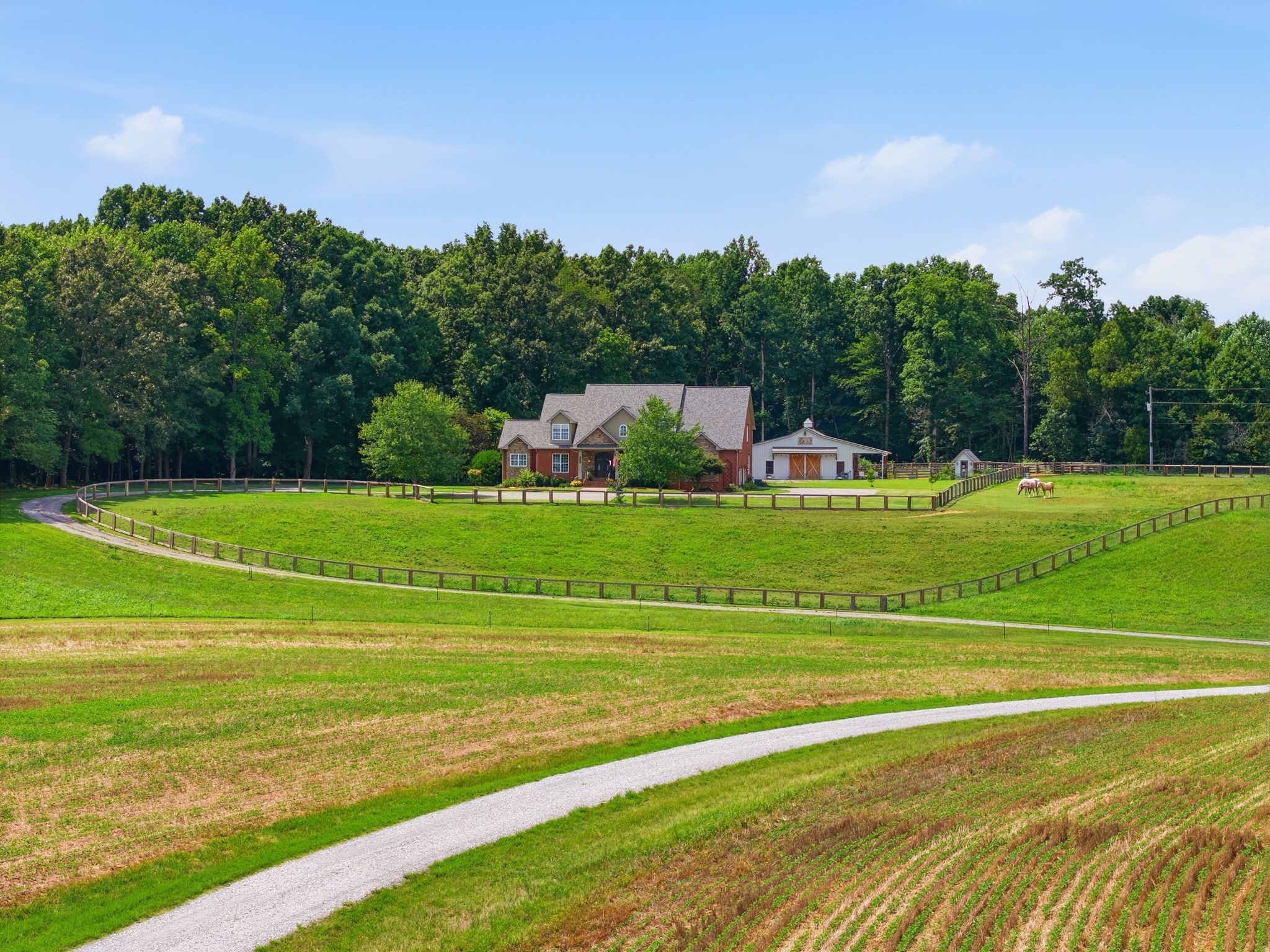 2404 Savage Creek Dr