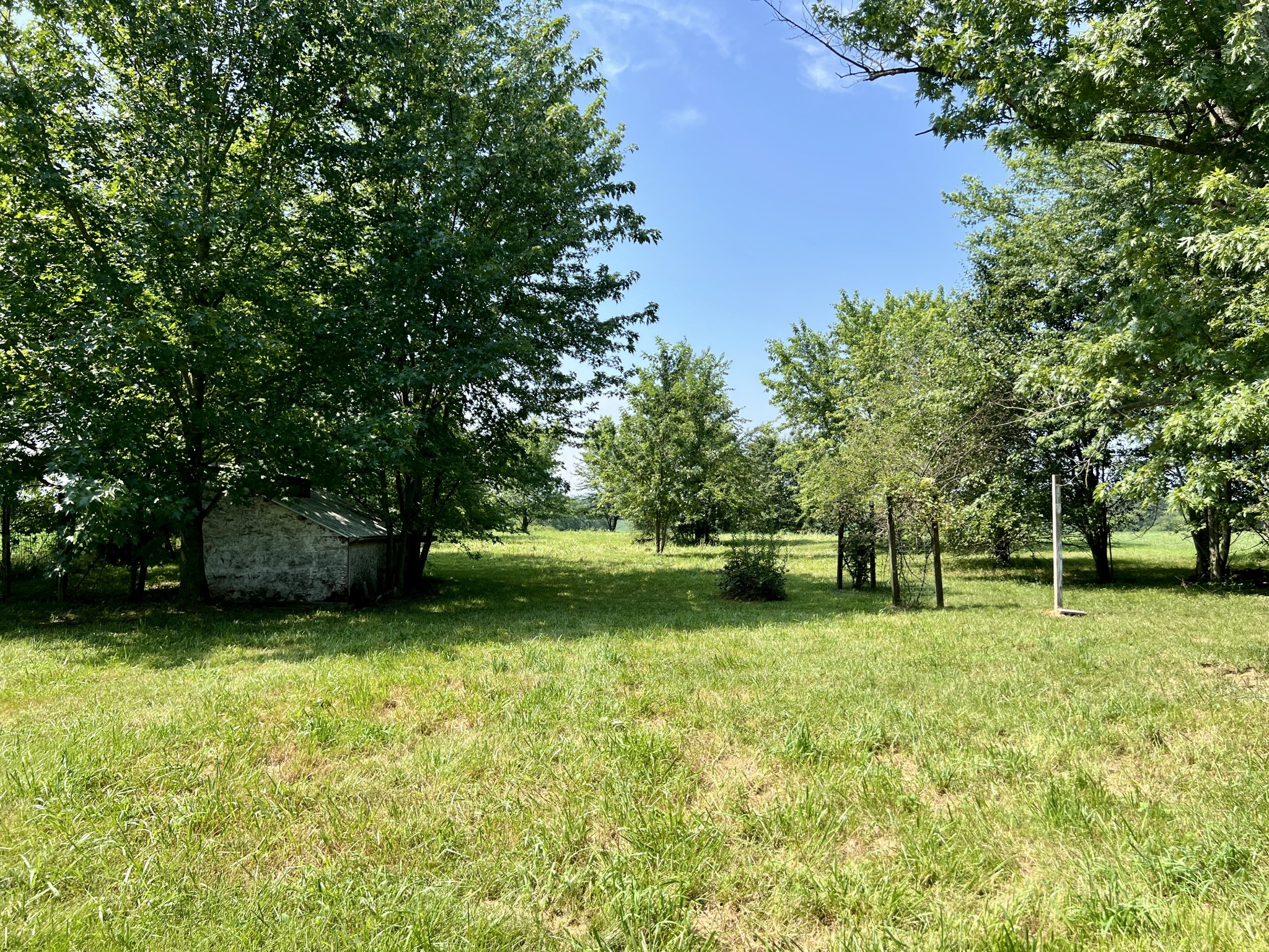 1525 Reeder School Rd Property Photo 27