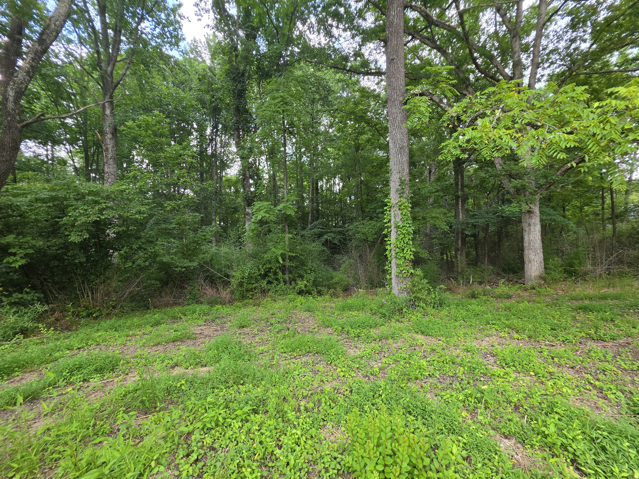 109 Rankin Rd Property Photo 33