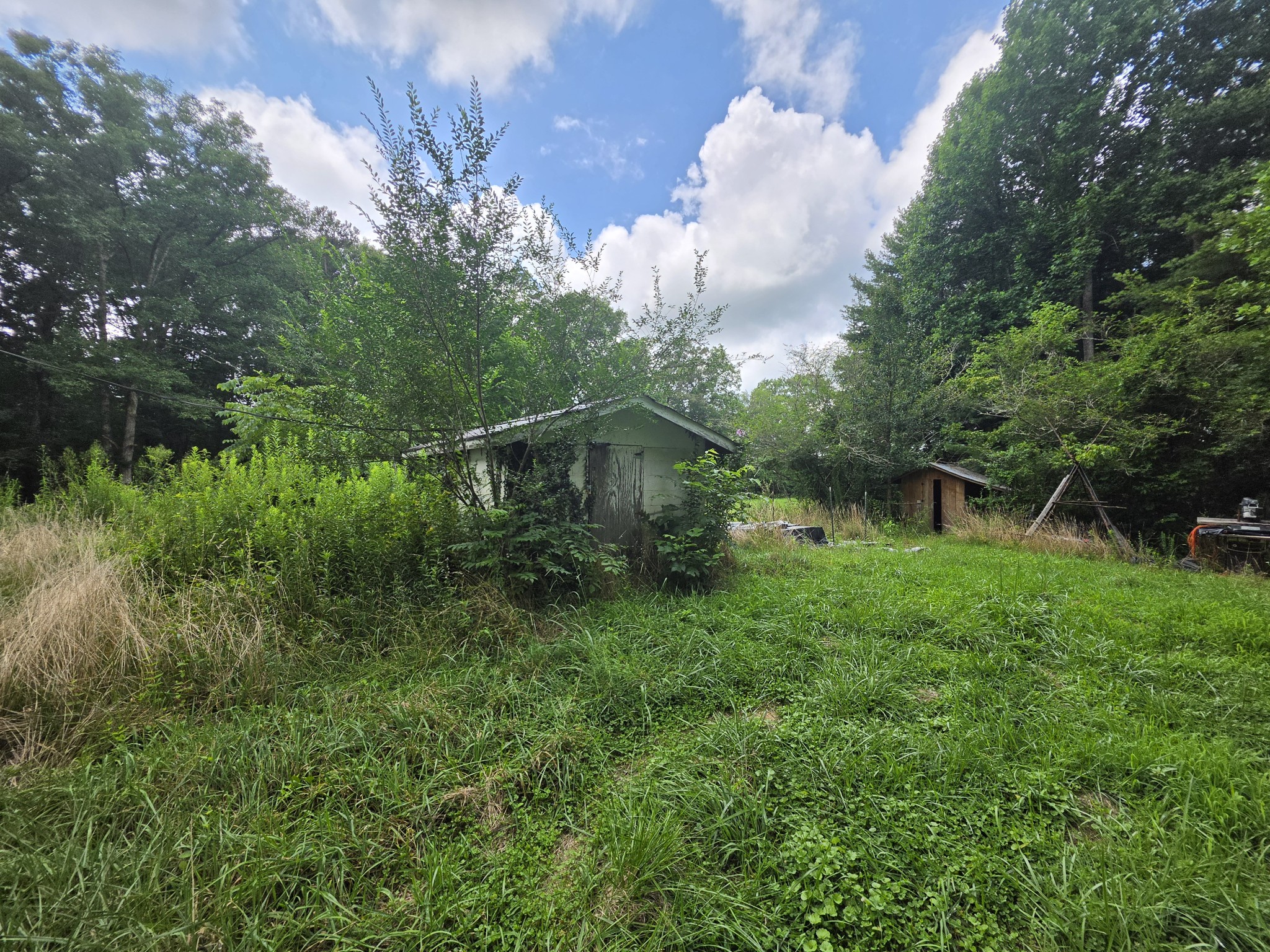 109 Rankin Rd Property Photo 34