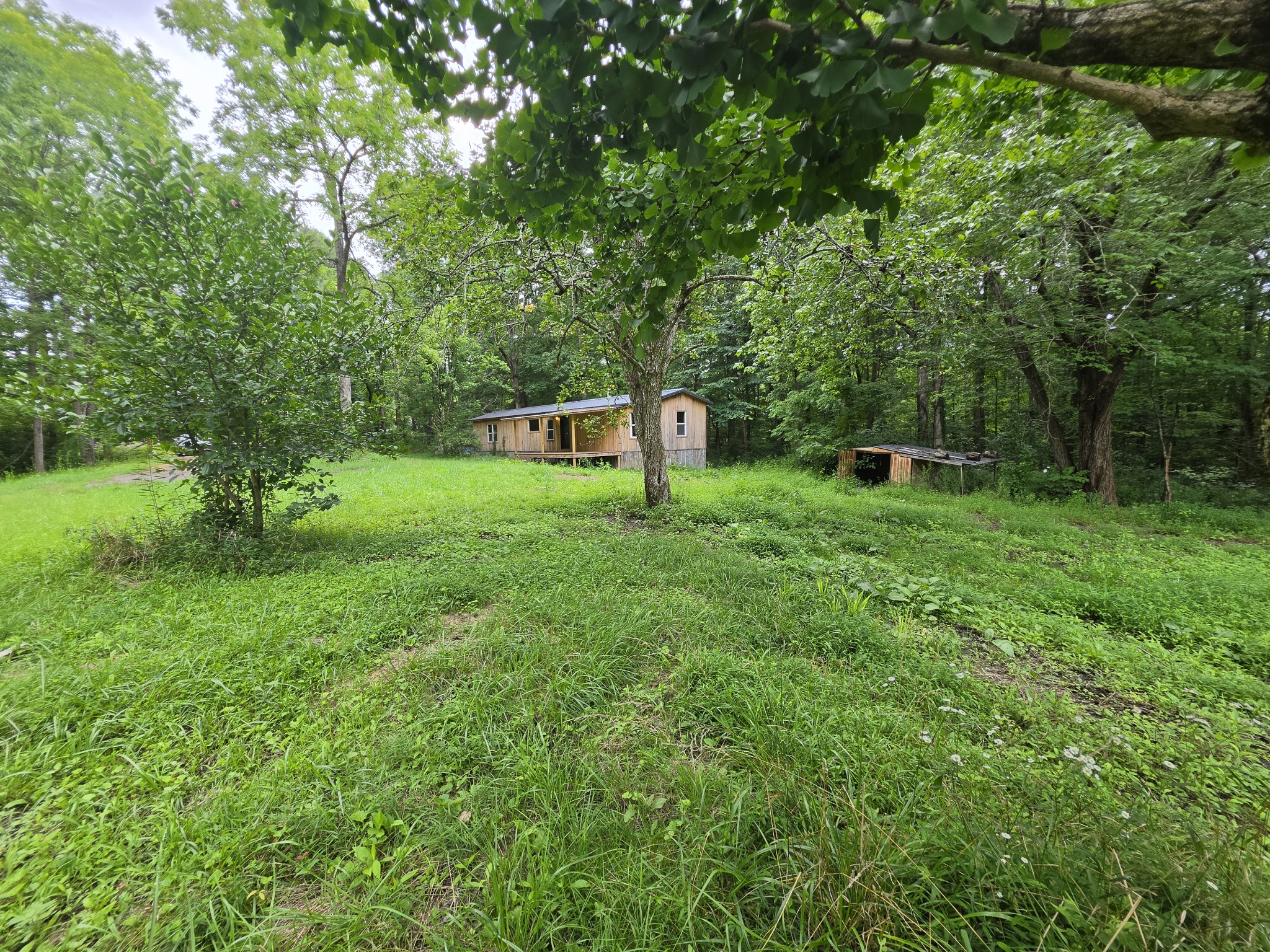 109 Rankin Rd Property Photo 41