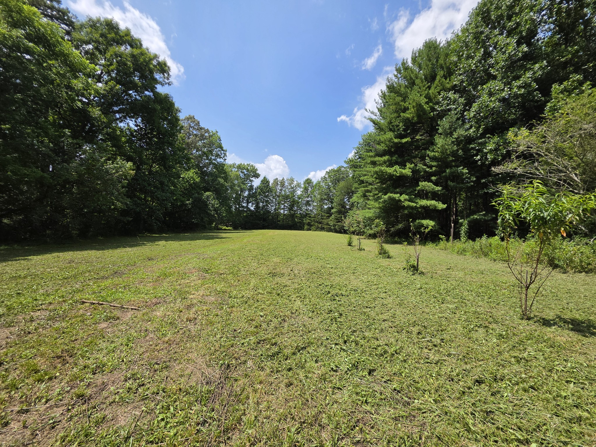 109 Rankin Rd Property Photo 45