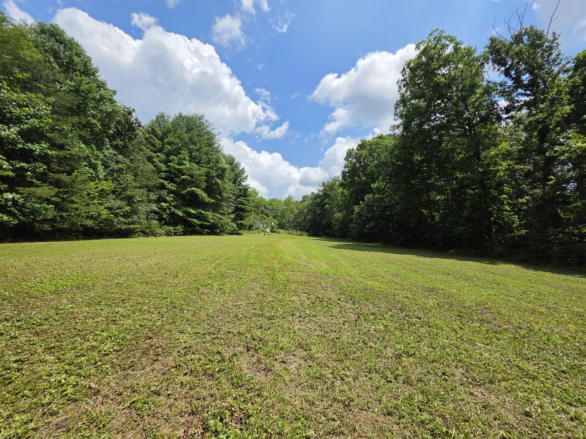 109 Rankin Rd Property Photo 46