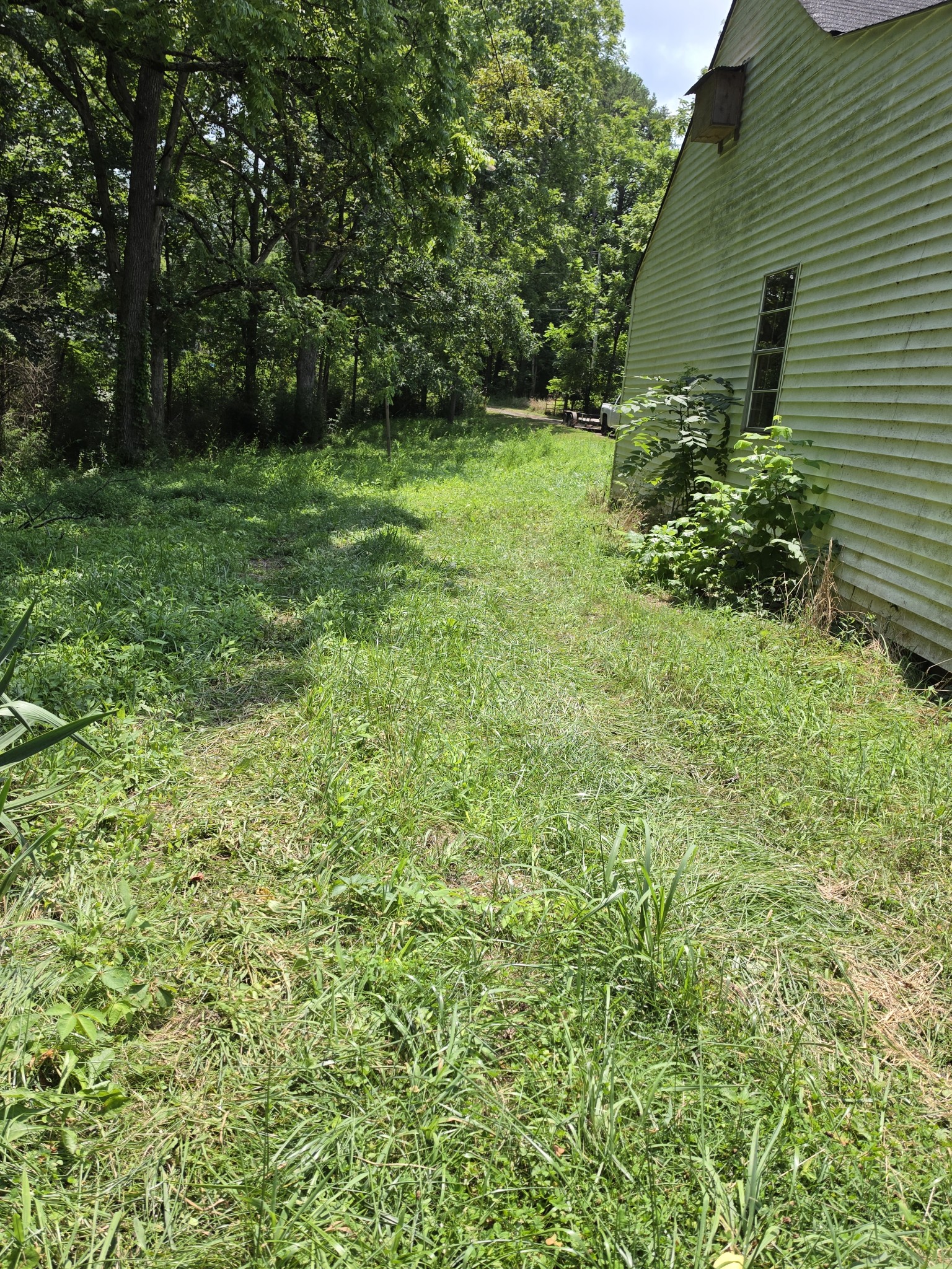109 Rankin Rd Property Photo 47