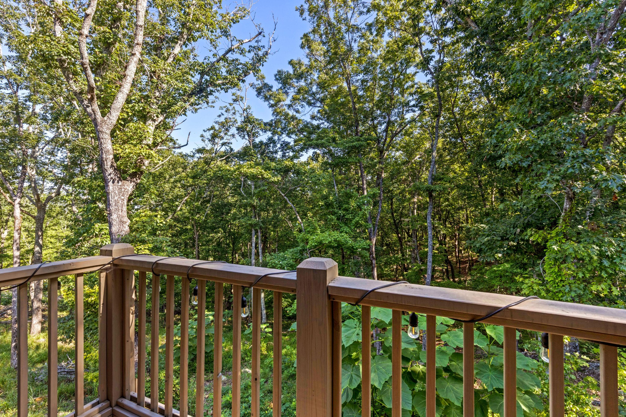 356 Mulberry Circle Property Photo 23