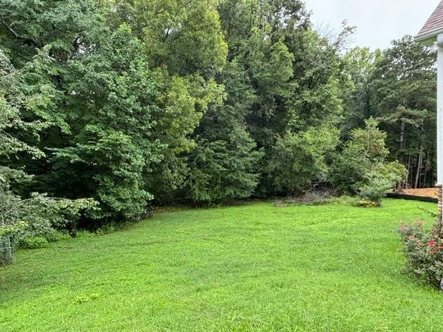 355 Leatha Lane, Nw Property Photo 40