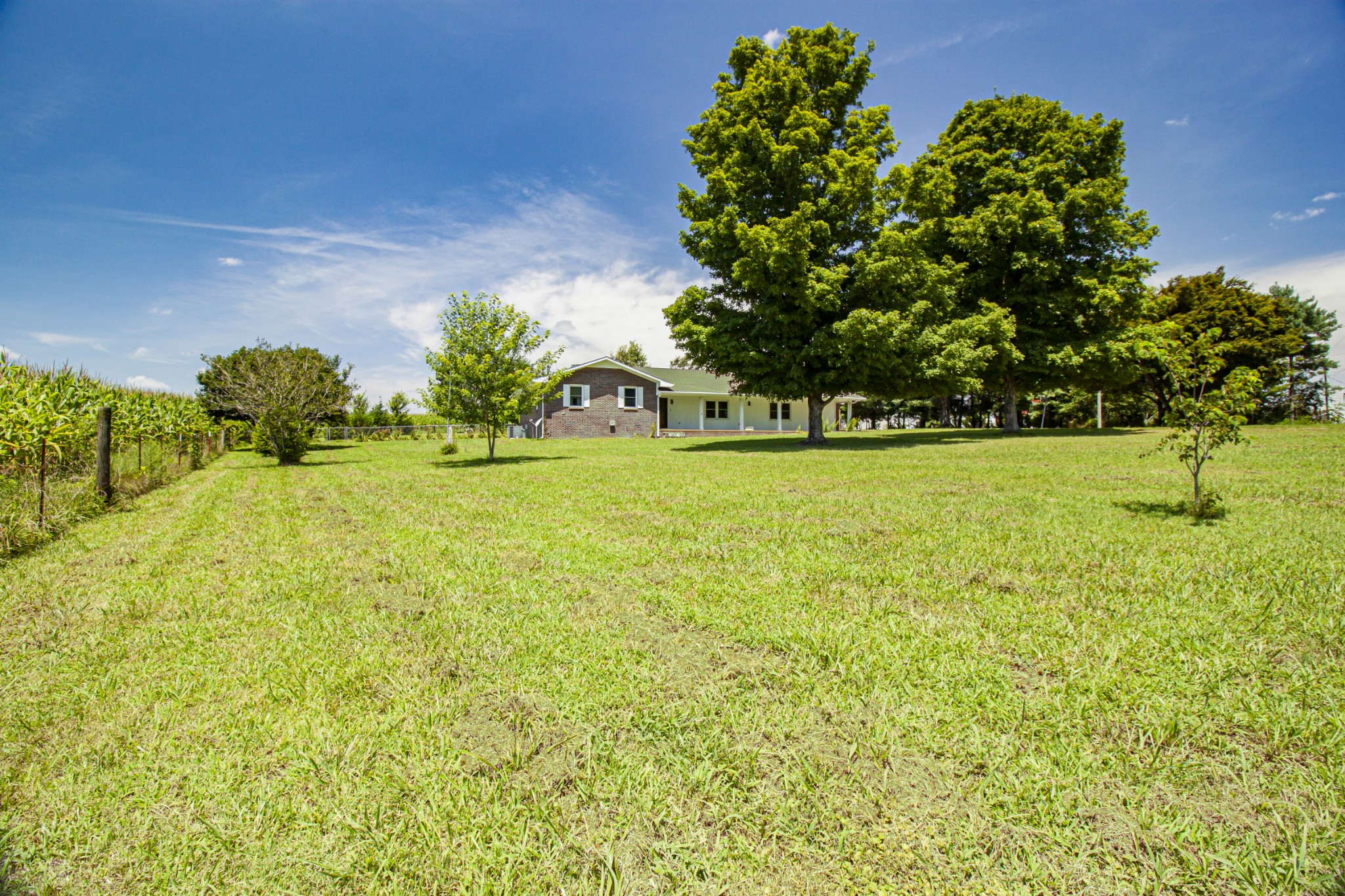 781 Blue Creek Rd Property Photo 5