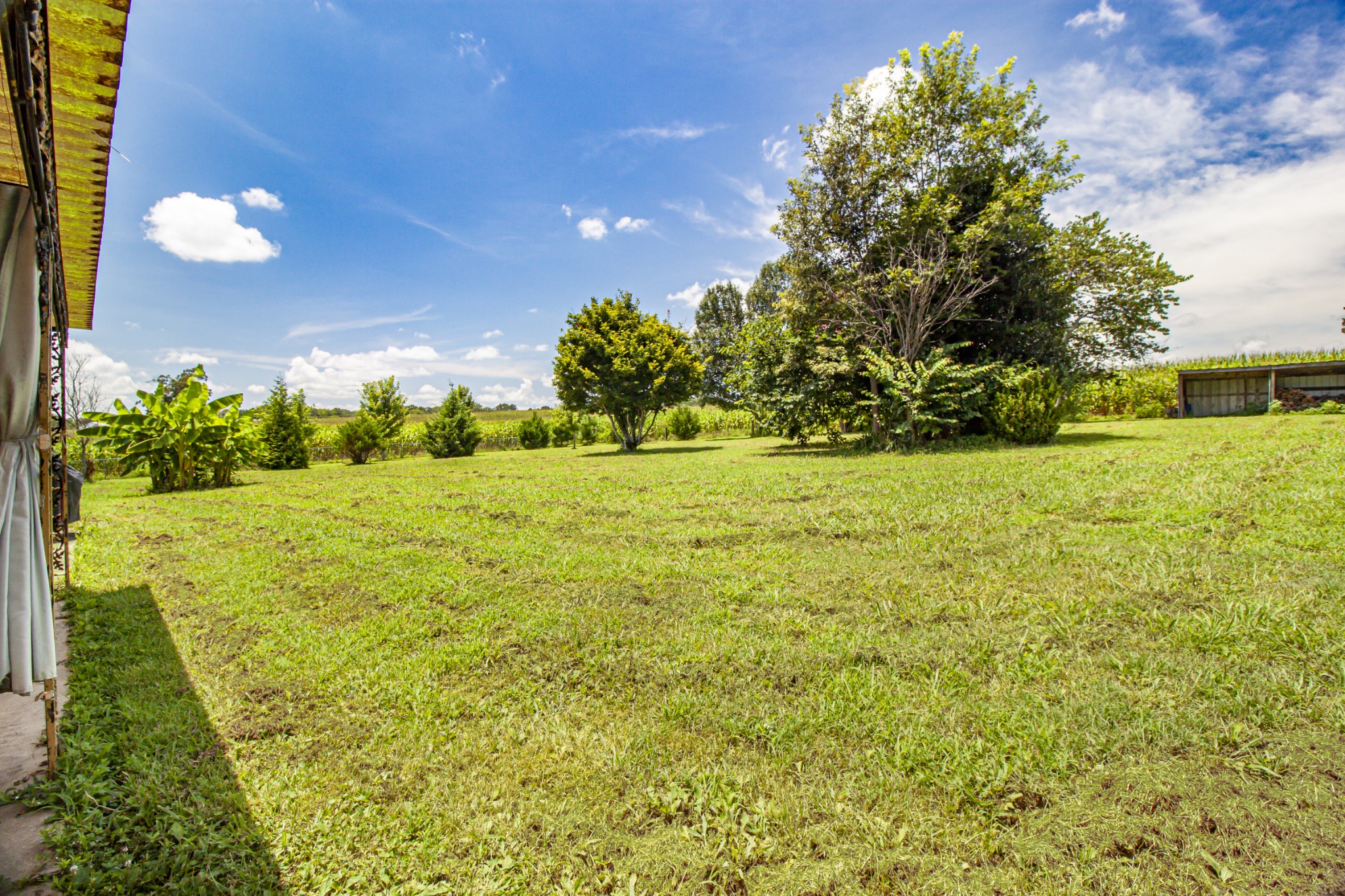 781 Blue Creek Rd Property Photo 38