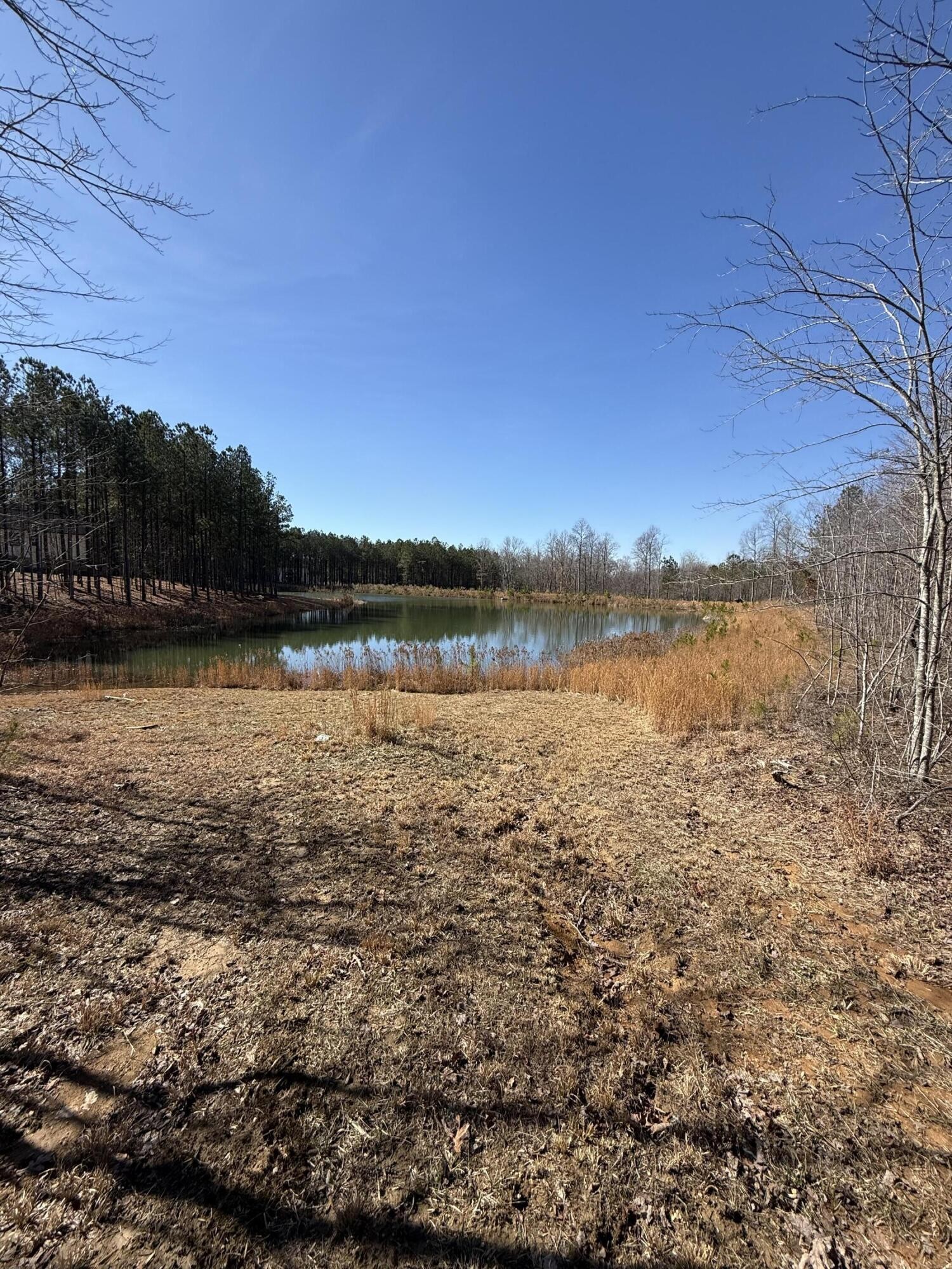 0 Cherokee Path Property Photo 17