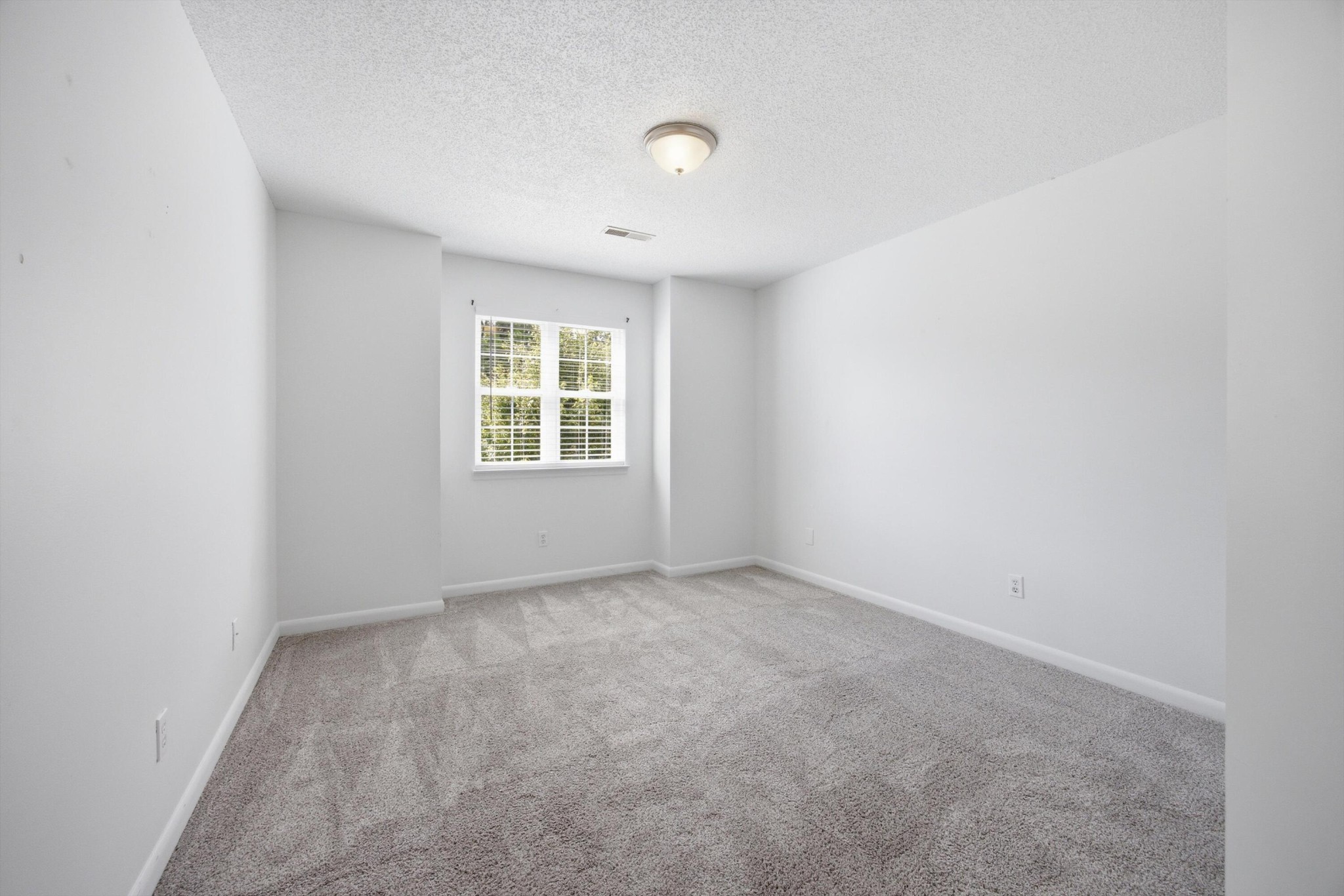 168 Mountain Brook Drive Property Photo 32