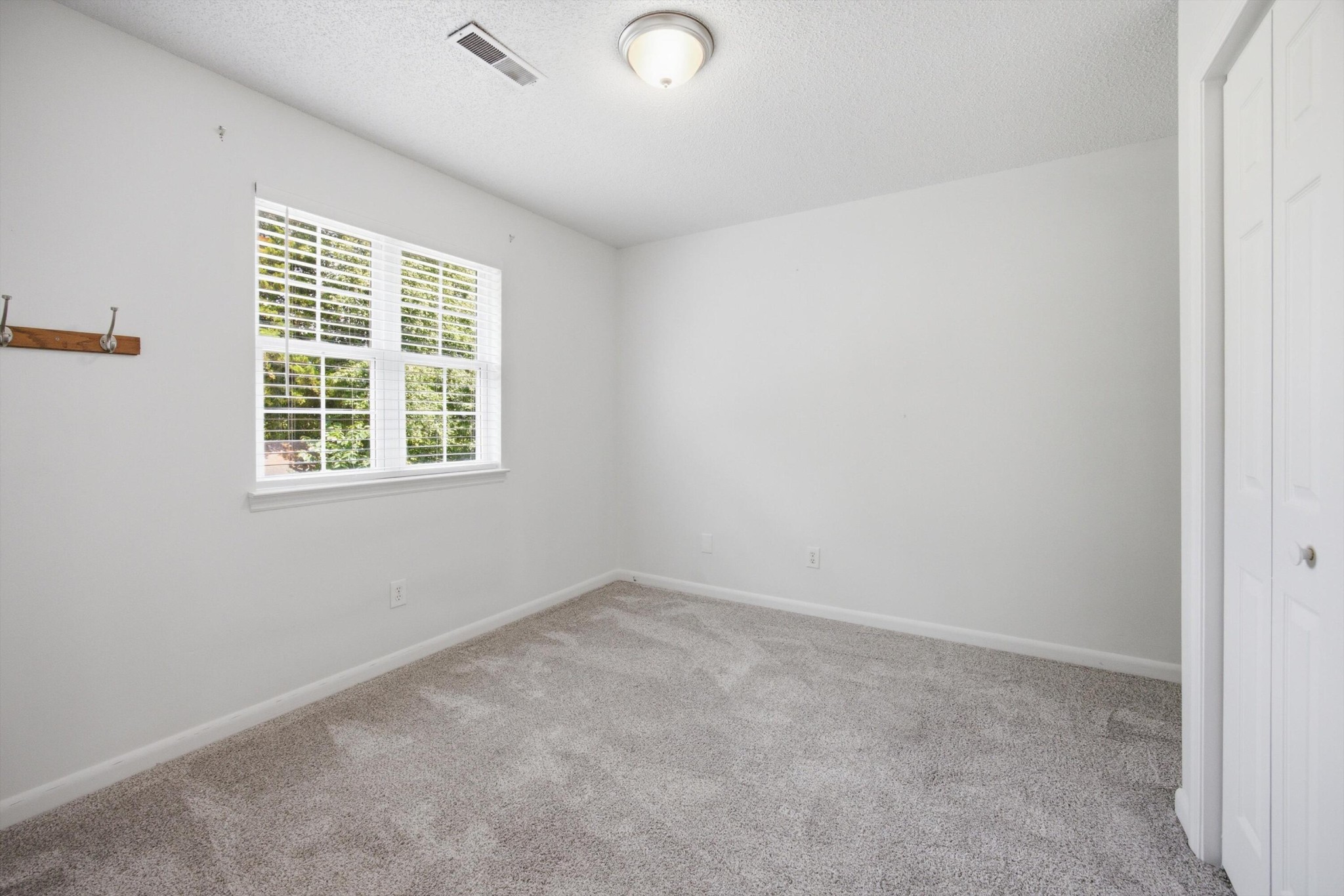 168 Mountain Brook Drive Property Photo 35