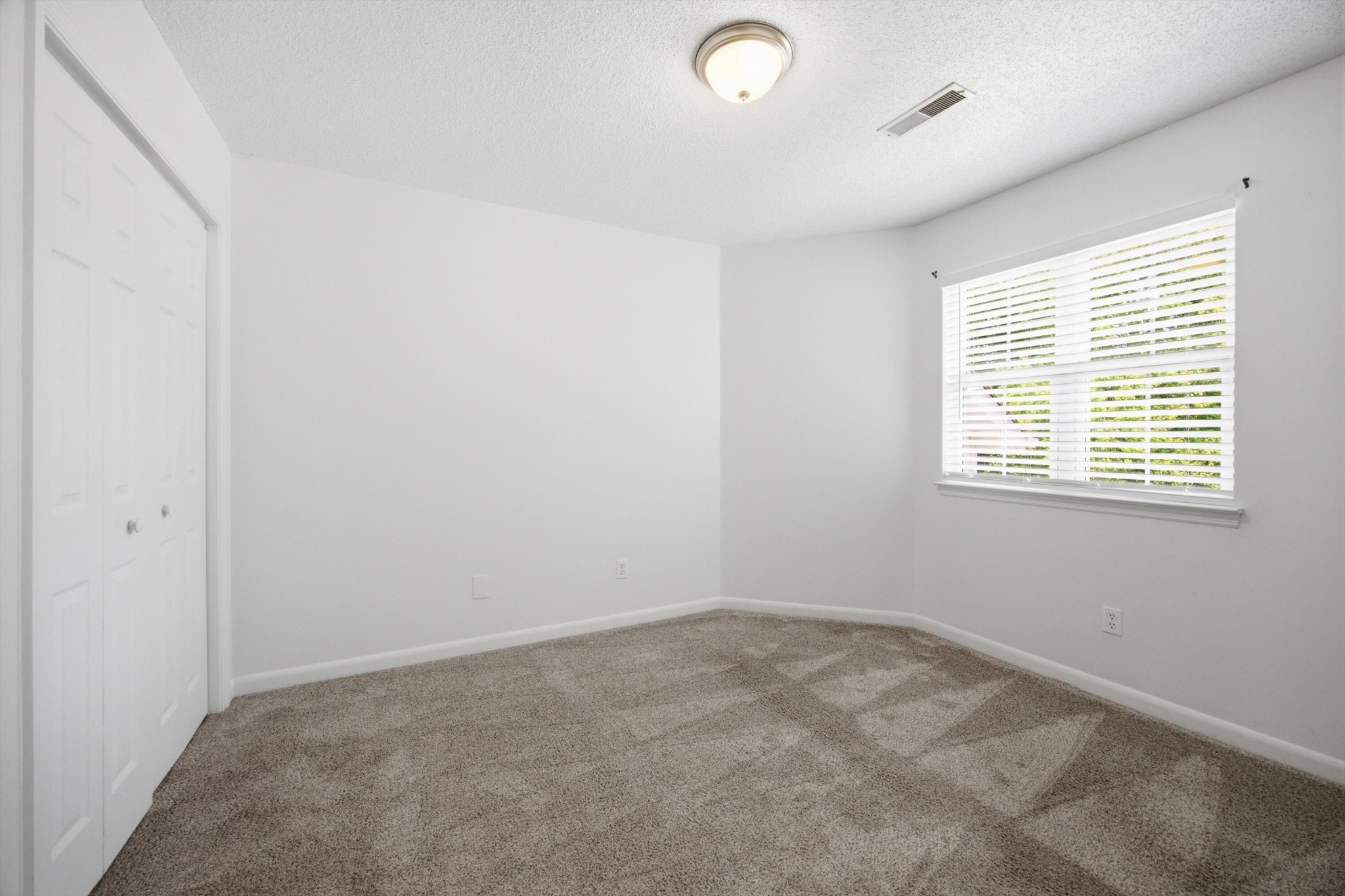 168 Mountain Brook Drive Property Photo 37