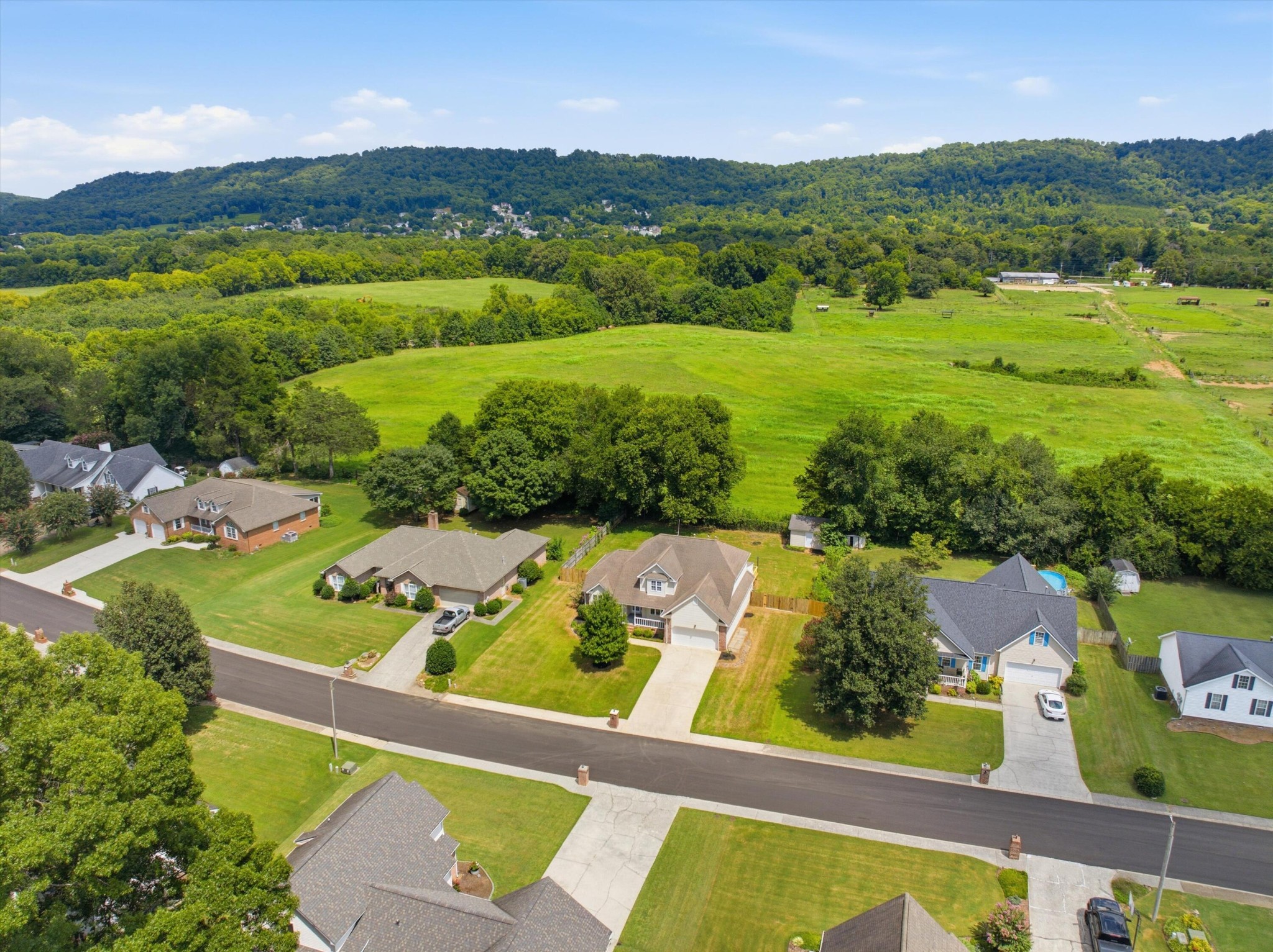 168 Mountain Brook Drive Property Photo 48