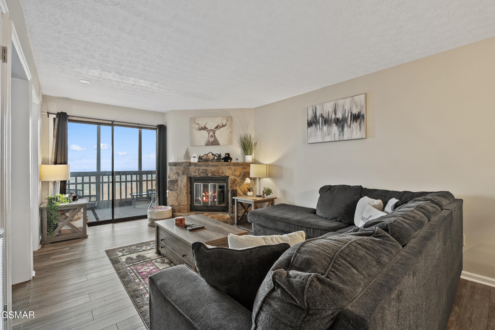 1102 Ski View Property Photo 13
