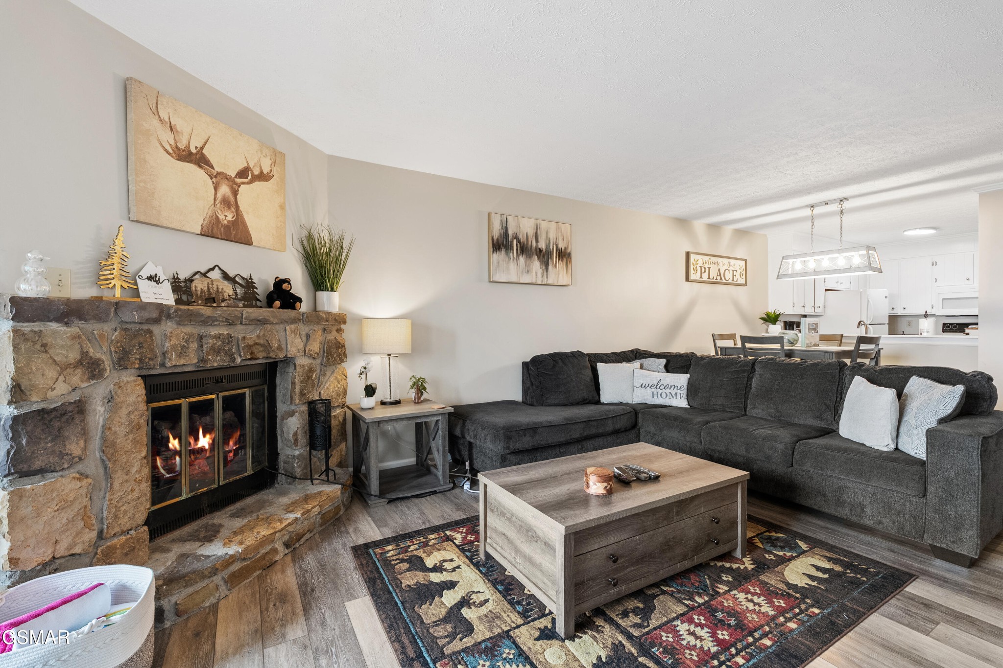 1102 Ski View Property Photo 15