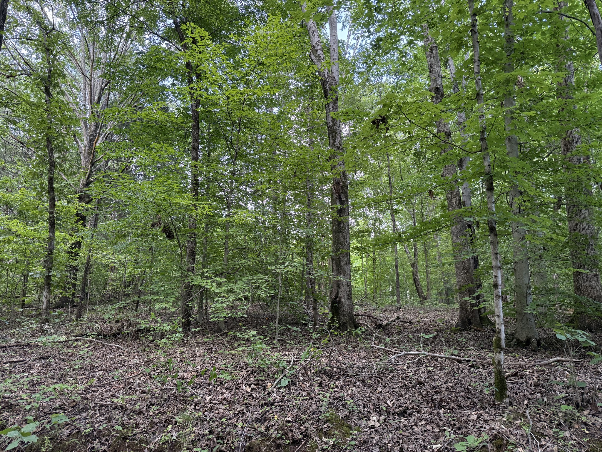 995 Hurricane Creek Road Property Photo 1