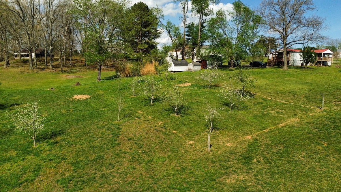 119 Fred Rd Property Photo 41