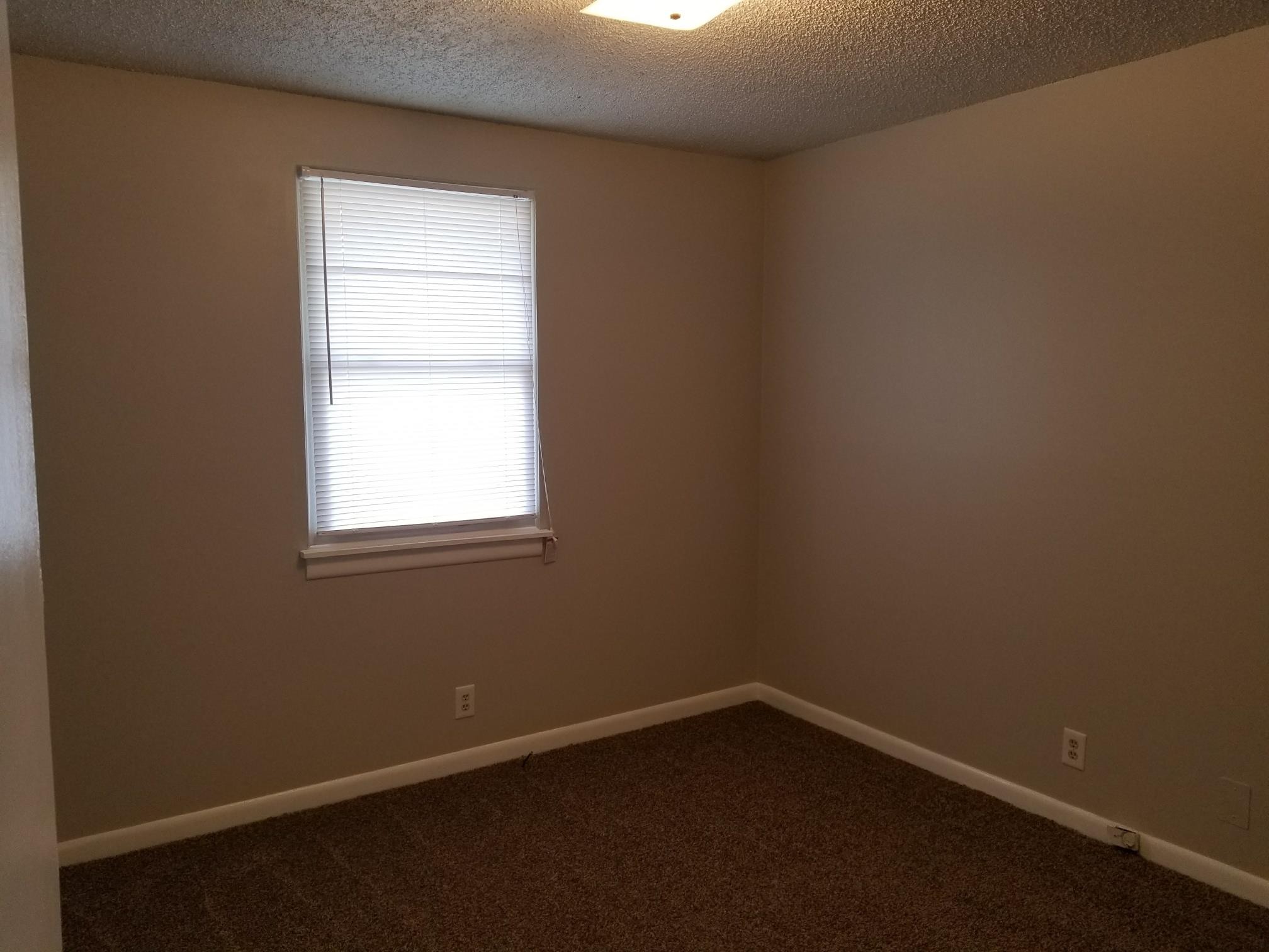 3509 Standing Stone Dr Property Photo 19