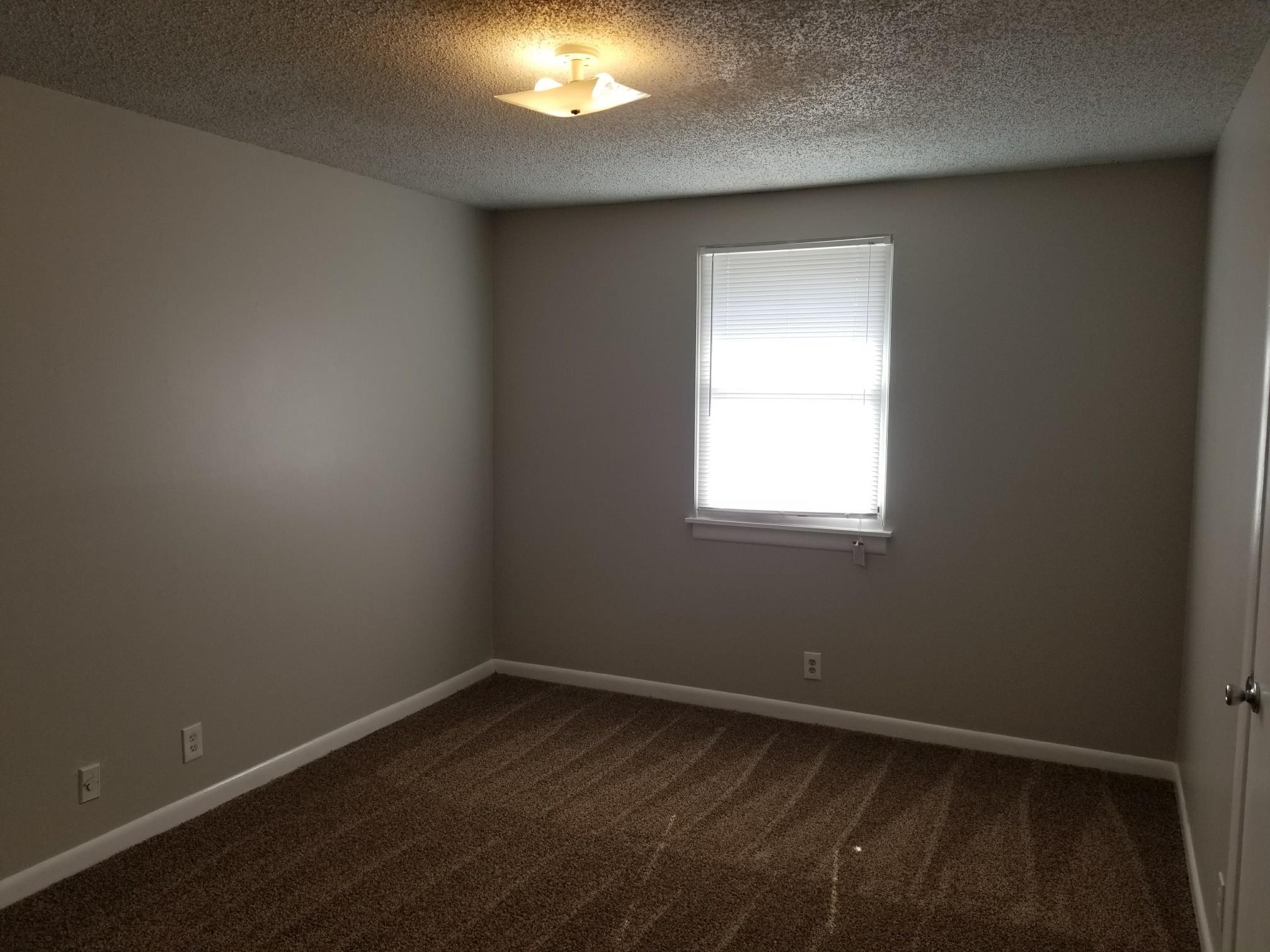 3509 Standing Stone Dr Property Photo 20