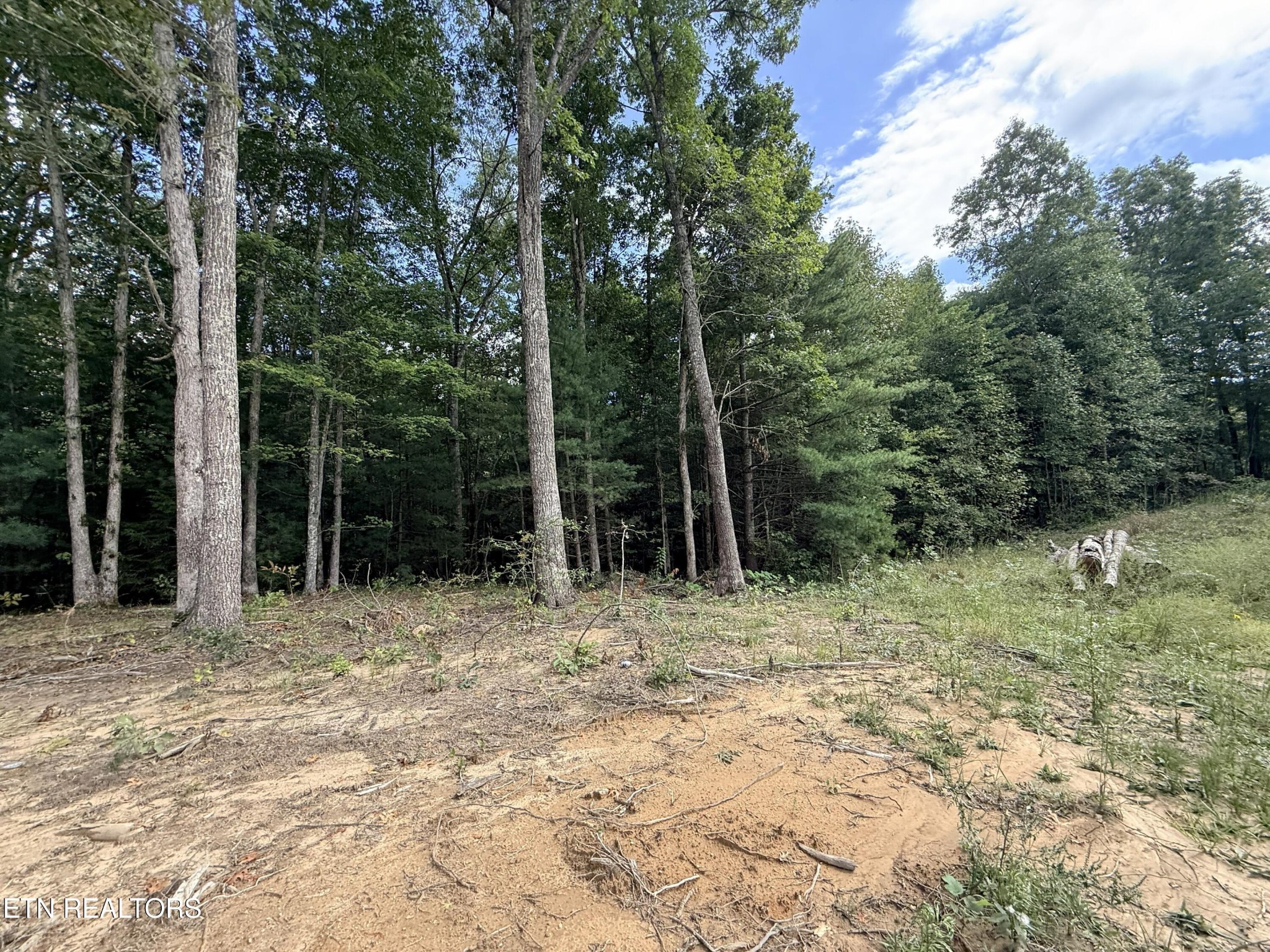 550 Stone Cliff Lane Property Photo 21