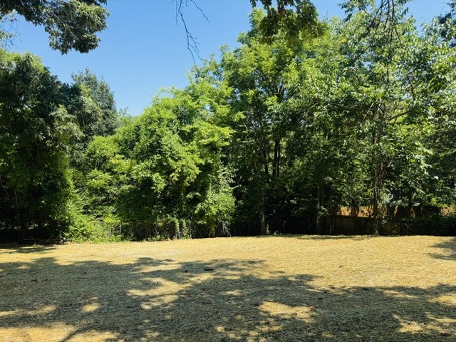 604 Debbie Dr Property Photo 5