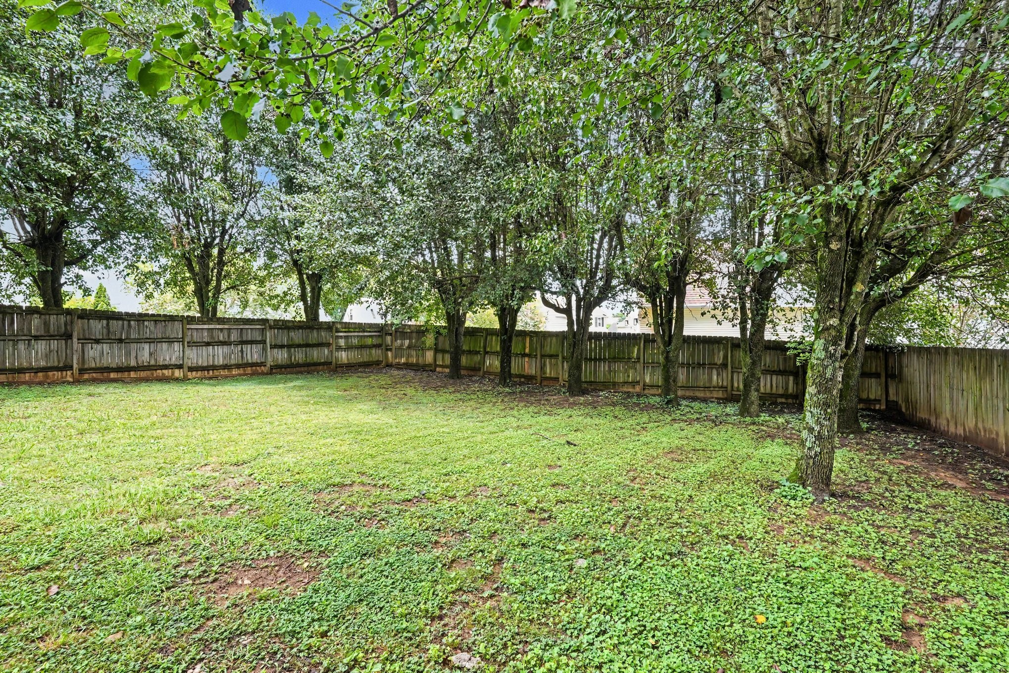 2033 Prescott Way Property Photo 21