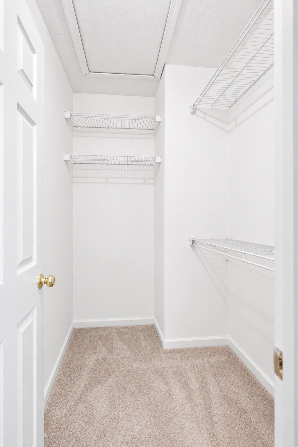 1804 Brookmeadow Ln Property Photo 23