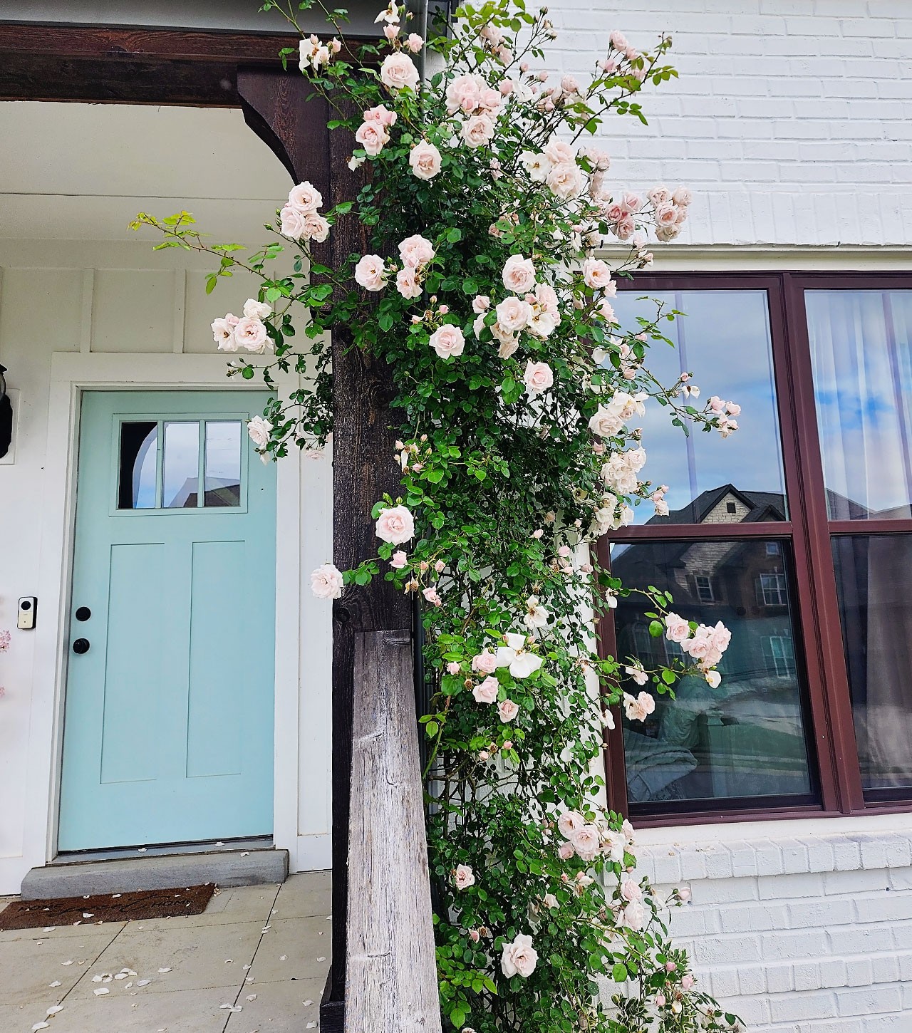 9023 Safe Haven Pl Property Photo 45