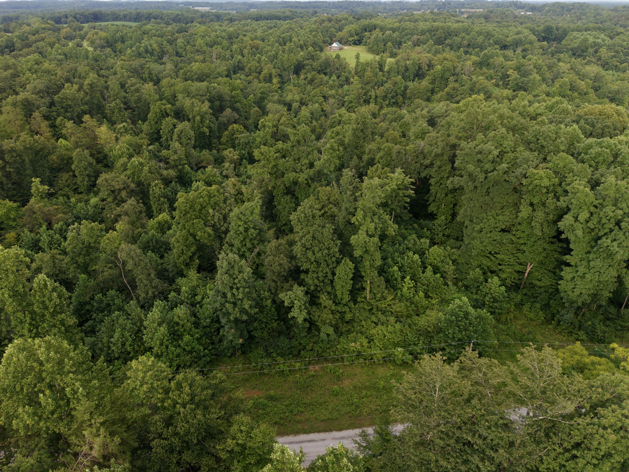 0 Virgil Cross Rd Property Photo 1