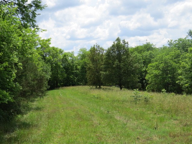 200 Hardy Rd Property Photo 3