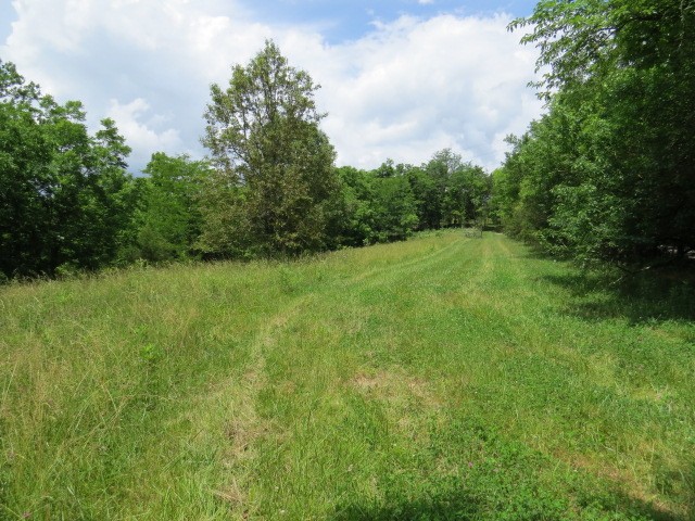 200 Hardy Rd Property Photo 6