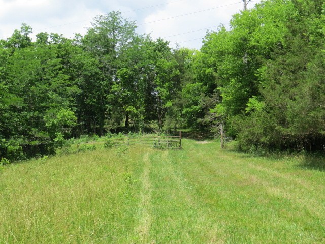 200 Hardy Rd Property Photo 8