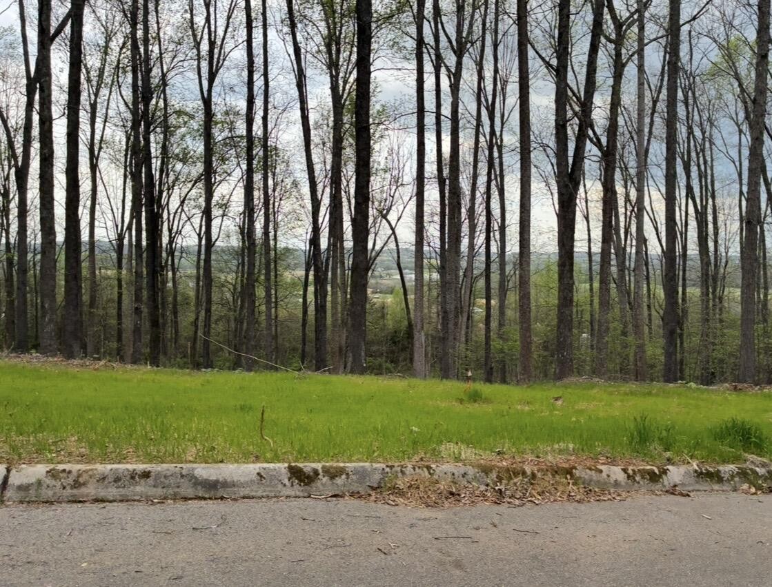 0 Lot 10 Poplar Drive Property Photo 1