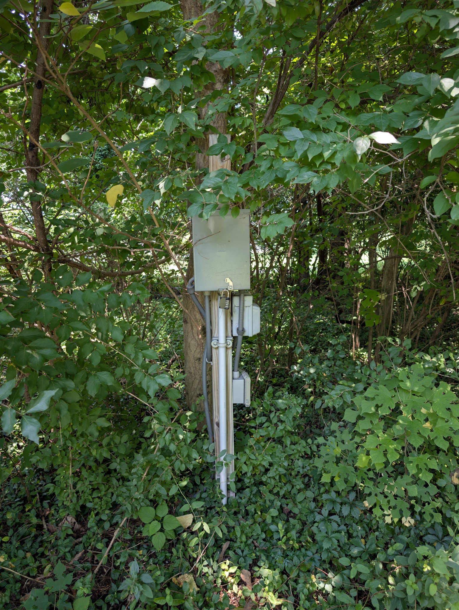 0 Old Hickory Blvd Property Photo 12